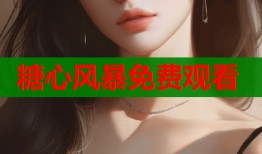 糖心风暴免费观看