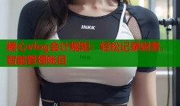 糖心vlog会计规矩：轻松记录财务，智能管理账目