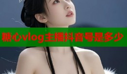 糖心vlog主播抖音号是多少