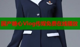 国产糖心Vlog传媒免费在线播放