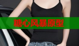 糖心风暴原型