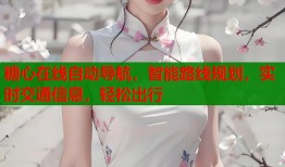 糖心在线自动导航，智能路线规划，实时交通信息，轻松出行
