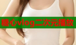 糖心vlog二次元播放