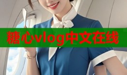糖心vlog中文在线