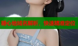 糖心地域名解析，快速精准定位