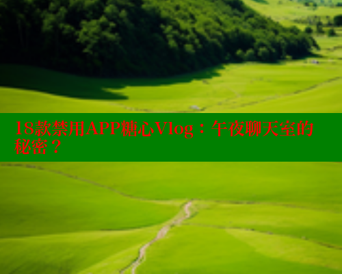 18款禁用APP糖心Vlog：午夜聊天室的秘密？
