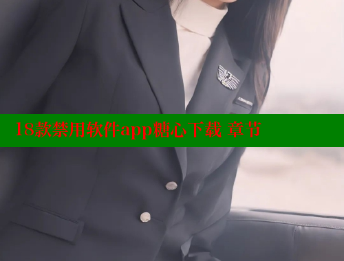 18款禁用软件app糖心下载 章节