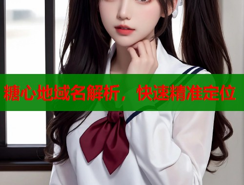 糖心地域名解析，快速精准定位