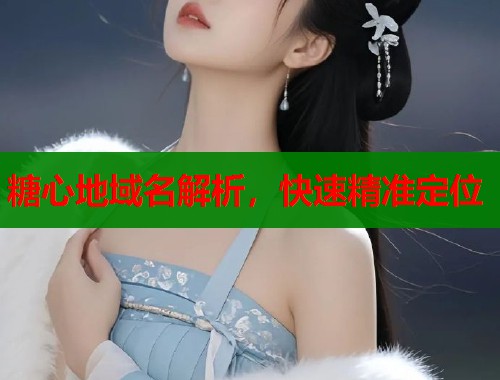 糖心地域名解析，快速精准定位