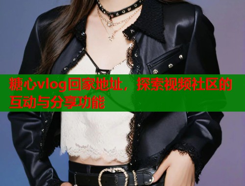 糖心vlog回家地址，探索视频社区的互动与分享功能