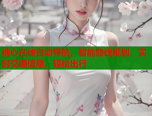 糖心在线自动导航，智能路线规划，实时交通信息，轻松出行